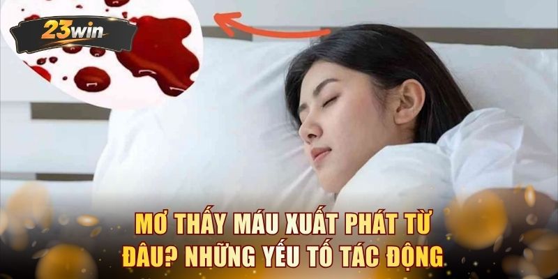 Mơ thấy máu xuất phát từ đâu? Những yếu tố tác động