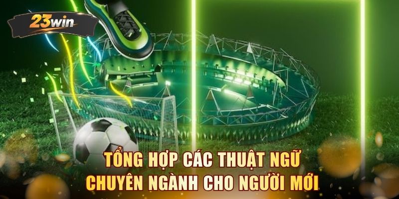 Tổng hợp các thuật ngữ chuyên ngành cho người mới